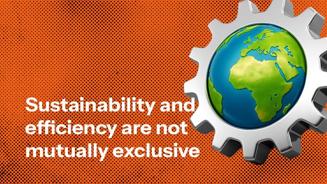 Sustainability and efficiency are not mutually exclusive: Lessons from leading supply chains